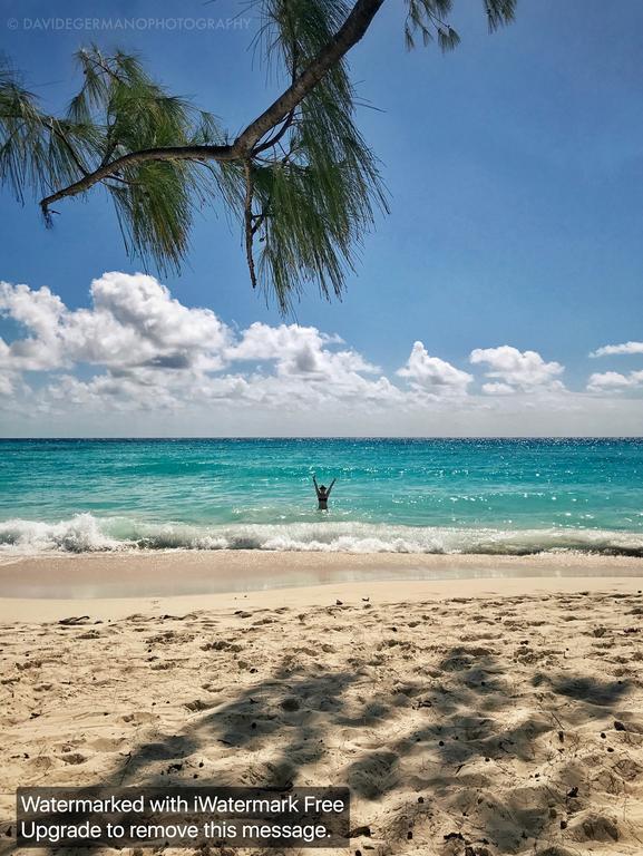 230 Gg Rockley Barbados Apartman Bridgetown Kültér fotó